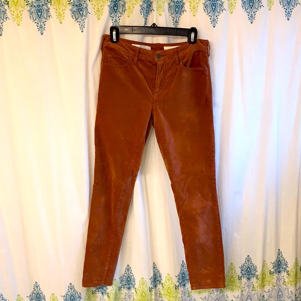 Pilcro and the Letterpress velvet pants
